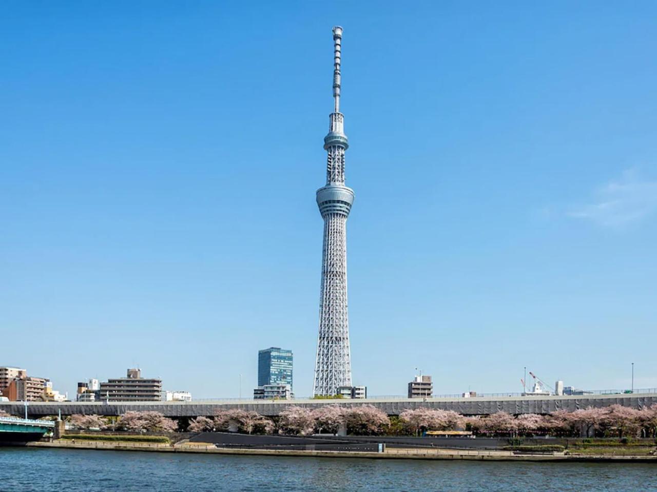 Hotel kapsul Anshin Oyado Ogikubo Tokyo